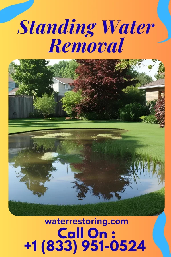 Standing Water Removal in Aplington, IA